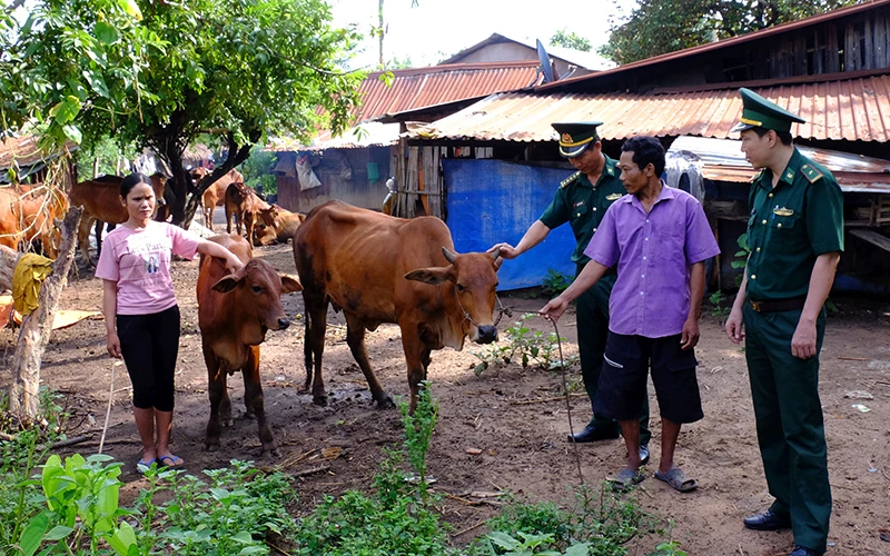 Lực lượng Bộ đội Biên phòng Bình Phước giúp hộ dân vùng đồng bào DTTS phát triển chăn nuôi, tăng thêm thu nhập.