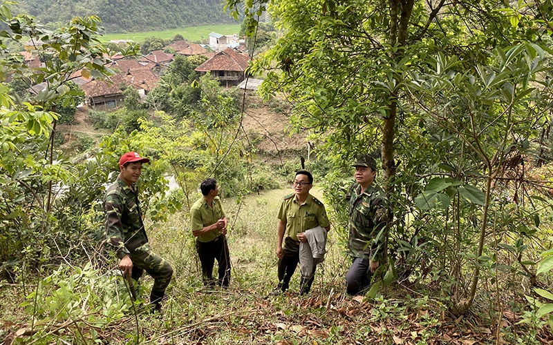 Trưởng bản Vì Văn Khiên (ngoài cùng bên phải) cùng thành viên Tổ quản lý, bảo vệ rừng Mường Pồn 1 tuần tra bảo vệ rừng.