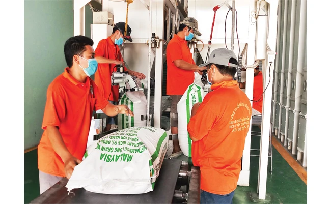 Xay xát, đóng gói gạo xuất khẩu tự động hóa tại một doanh nghiệp ở TP Hồ Chí Minh. 