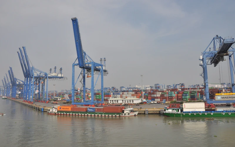 Hoạt động xuất khẩu đang ảnh hưởng lớn bởi sự thiếu hụt container.