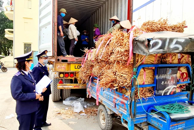 Cán bộ Cục Hải quan Quảng Ninh kiểm tra hàng hóa qua biên giới.