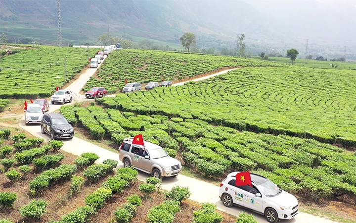 Đoàn xe xuyên qua đồi chè Tân Uyên, Lai Châu trên hành trình "qua miền Tây Bắc". Ảnh | MAI TRUNG KIÊN
