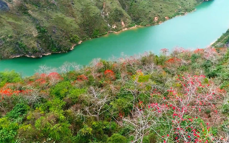Hình ảnh hoa gạo (mộc miên) bên dòng sông Nho Quế trong MV.