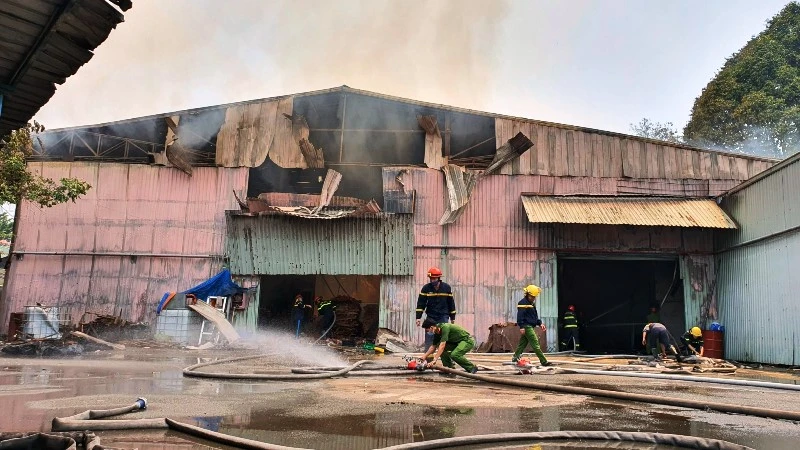 Hiện trường vụ cháy CTCP gỗ Tâm Thuận Phát.