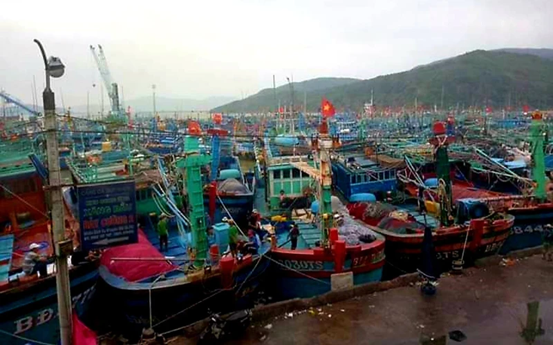Cảng Quy Nhơn (Bình Ðịnh) quá tải tàu thuyền neo đậu, gây mất an toàn. 