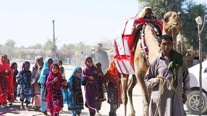 Lạc đà mang sách tới trẻ em nghèo ở Balochistan. Ảnh: THE WALL