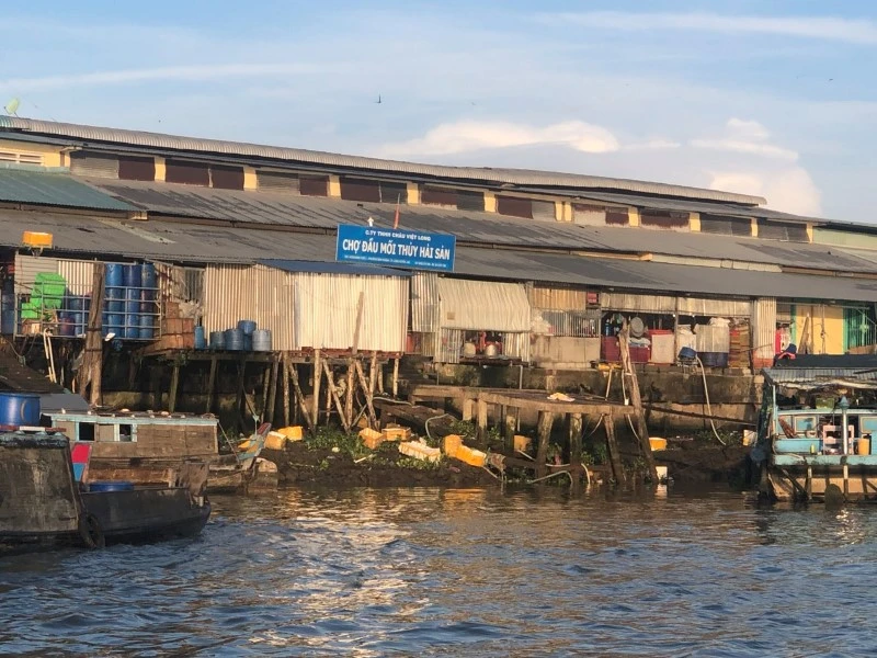 Công ty TNHH Châu Việt Long để chợ đầu mối thủy hải sản không có giấy phép xả thải ra sông.