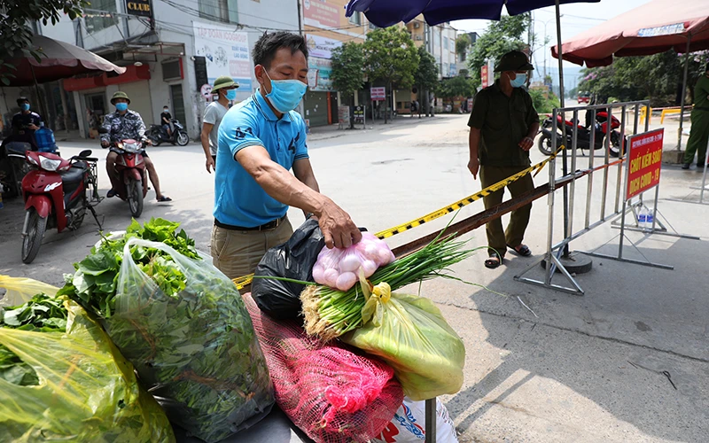 Cung cấp rau xanh cho khu vực cách ly y tế tại thôn My Điền, thị trấn Nếnh, huyện Việt Yên, tỉnh Bắc Giang. Ảnh: Danh Lam