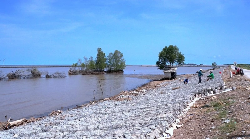 Một số công trình hộ đê bờ biển tây đang triển khai trên địa bàn tỉnh Cà Mau. (Ảnh: Hữu Tùng).