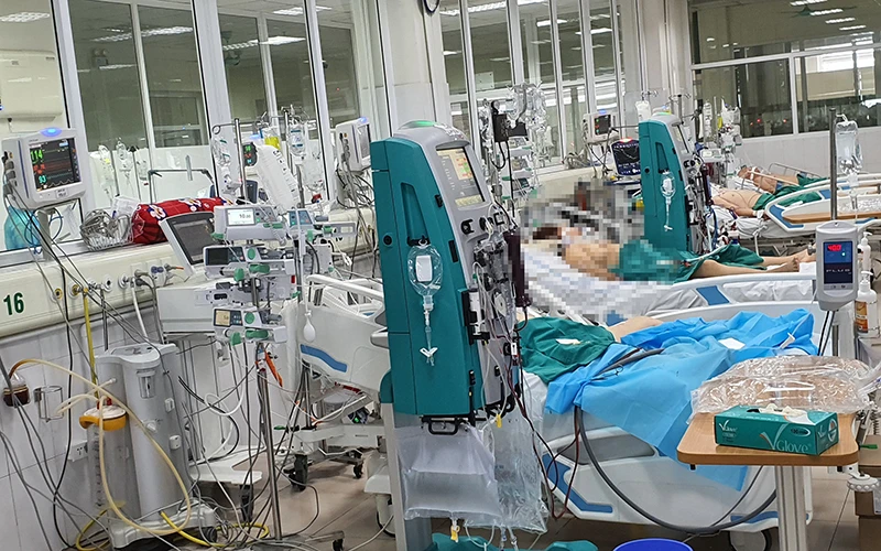 Nhiều bệnh nhân nặng đang được các bác sĩ nỗ lực cứu chữa tại BV Bệnh Nhiệt đới Trung ương.