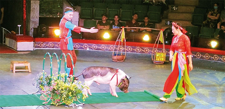 Liên đoàn Xiếc Việt Nam dàn dựng nhiều tiết mục xiếc thú là vật nuôi trong gia đình, được công chúng yêu thích. 