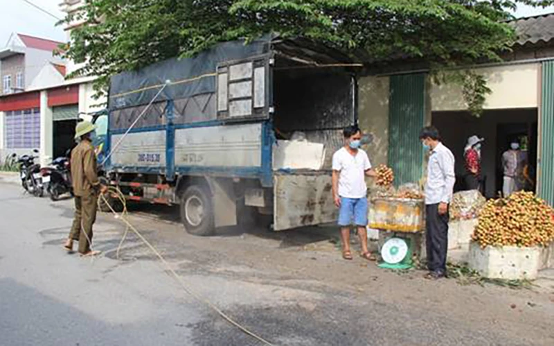 Các phương tiện đến vận chuyển vải ở xã Tam Đa, huyện Phù Cừ đều được phun khử khuẩn để phòng, chống dịch Covid-19.