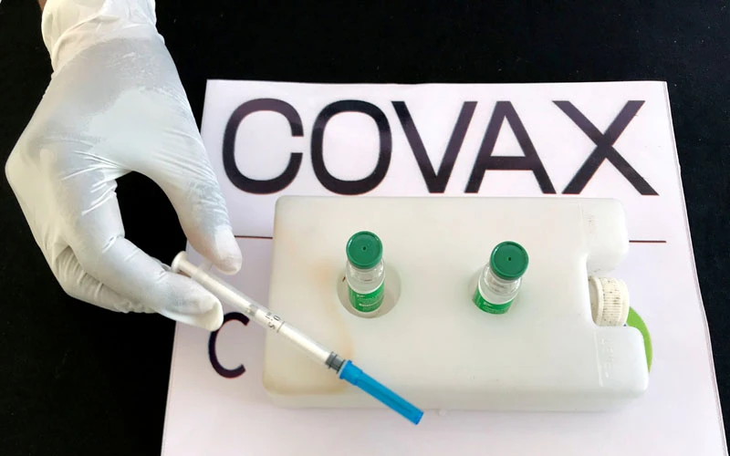 75% trong số khoảng 80 triệu liều vaccine sẽ được phân bổ thông qua cơ chế COVAX. (Ảnh: Reuters)