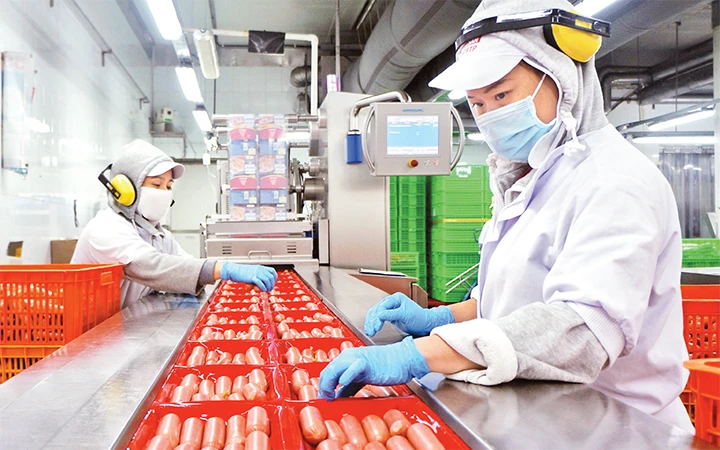 Công nhân kỹ thuật làm việc trên dây chuyền sản xuất xúc xích tiệt trùng của Công ty cổ phần Việt Nam Kỹ nghệ súc sản (VISSAN).