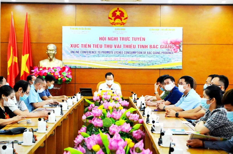 Lào Cai tạo thuận lợi nhất cho xuất khẩu vải thiều qua Cửa khẩu Kim Thành sang thị trường Vân Nam (Trung Quốc).