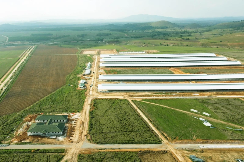Trang trại đầu tiên trong Tổ hợp bò sữa Lao-Jagro tại Xiêng Khoảng của Vinamilk đã hoàn thành các hạng mục xây dựng cơ bản (chụp tháng 5-2021). (Ảnh: VNM)