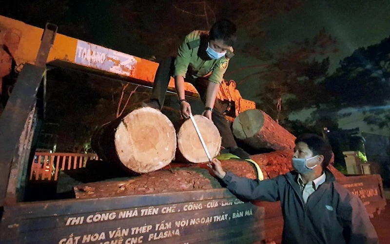 Tang vật vụ việc đang tạm giữ tại Hạt Kiểm lâm thành phố Đà Lạt.