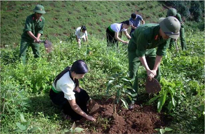 Đoàn thanh niên và trí thức trẻ Đoàn KTQP 326/Quân khu 2 trồng cây ăn quả trong khuôn viên đơn vị. Ảnh: Quang Thắng