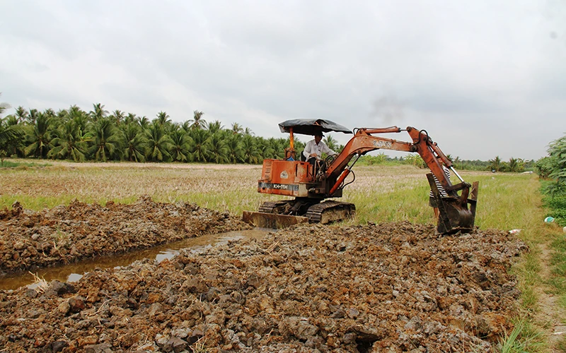 Nông dân xã Phong Nẫm, huyện Giồng Trôm (tỉnh Bến Tre) chuyển đổi từ trồng lúa sang trồng dừa.