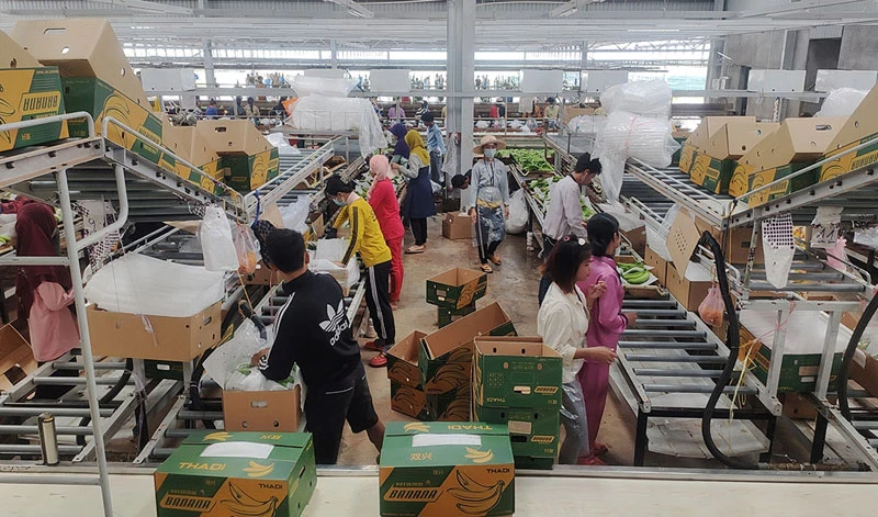 Doanh nghiệp Việt Nam tại Campuchia  tạo nhiều việc làm cho người lao động.