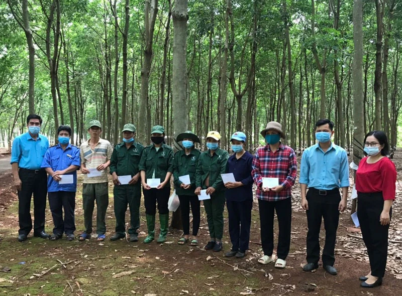 Công đoàn Tổng công ty cao-su Đồng Nai tặng quà động viên người lao động tại vườn cây khai thác mủ.