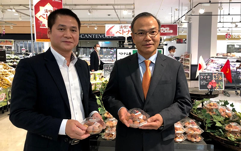 Đại sứ Vũ Hồng Nam (phải) và Tham tán Thương mại Việt Nam tại Nhật Bản Tạ Đức Minh trong sự kiện quảng bá trái vải Việt Nam tại Nhật Bản. Ảnh: Bộ Công thương