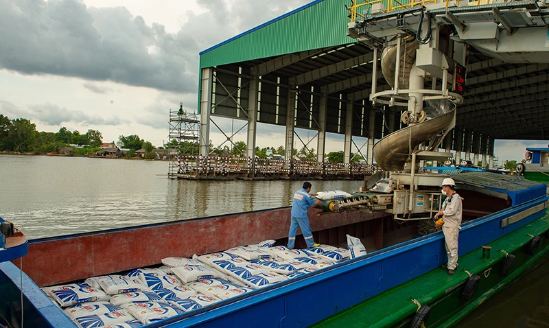 Sản phẩm phân bón Cà Mau đang xuống tàu xuất khẩu ra các thị trường nước ngoài.
