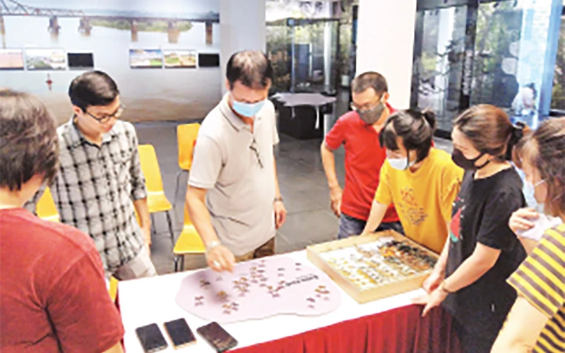 Các nhà khoa học trao đổi về những mẫu vật giới thiệu về chủ đề Thiên nhiên Hà Nội tại Bảo tàng Hà Nội.