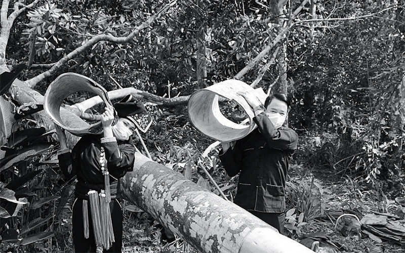 Nhân dân xã Viễn Sơn, huyện Văn Yên (Yên Bái) thực hiện nghiêm các biện pháp phòng, chống dịch bệnh trong mùa thu hoạch quế. Ảnh: THANH MIỆN 