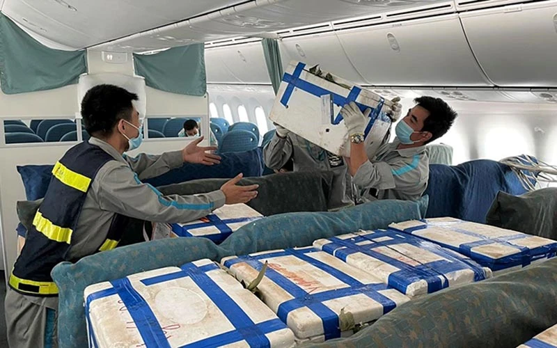 Nhân viên Hãng Vietnam Airlines bốc xếp vải thiều để vận chuyển đi tiêu thụ bằng đường hàng không.