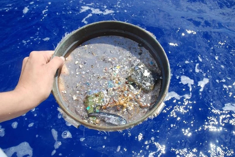 Các loại vi nhựa được vớt từ đại dương. Ảnh: NASA.