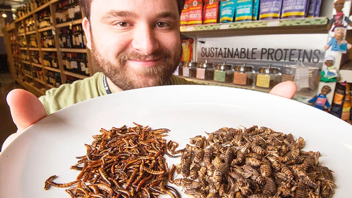 Một đầu bếp Mỹ giới thiệu món ăn từ côn trùng. Ảnh: USA TODAY
