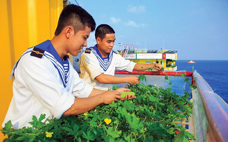Chiến sĩ Hải quân trồng rau xanh trên nhà giàn DK1. Ảnh: MINH ÐỨC 