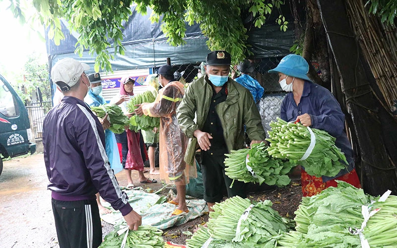Người dân, chiến sĩ Công an tỉnh Ðắk Lắk đội mưa khẩn trương bốc rau, củ lên xe tải để kịp vận chuyển đến TP Hồ Chí Minh và tỉnh Bình Dương. Ảnh TTXVN 