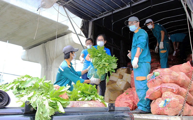 Bốc dỡ rau, củ, quả để vận chuyển kịp thời đến các điểm phân phối trên địa bàn TP Hồ Chí Minh. Ảnh TTXVN
