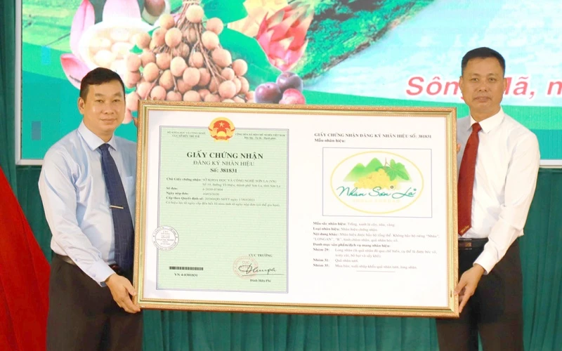 Cục Sở hữu trí tuệ trao Giấy chứng nhận đăng ký nhãn hiệu “nhãn Sơn La” cho tỉnh Sơn La.