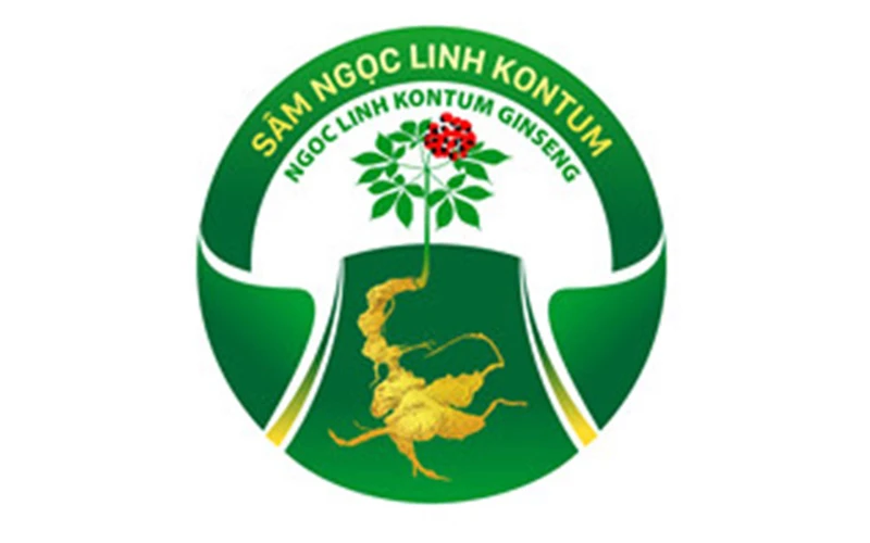 Nhãn hiệu Sâm Ngọc Linh Kon Tum được cấp Giấy chứng nhận đăng ký nhãn hiệu số 387997 cho chủ giấy chứng nhận là UBND tỉnh Kon Tum. 