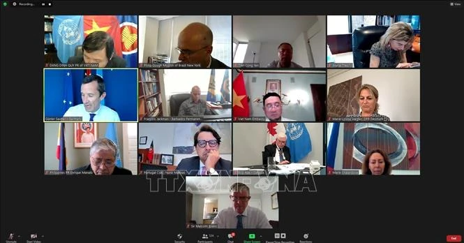 Cuộc họp trực tuyến đầu tiên của Nhóm Bạn bè của UNCLOS, ngày 21/7. Ảnh: TTXVN.