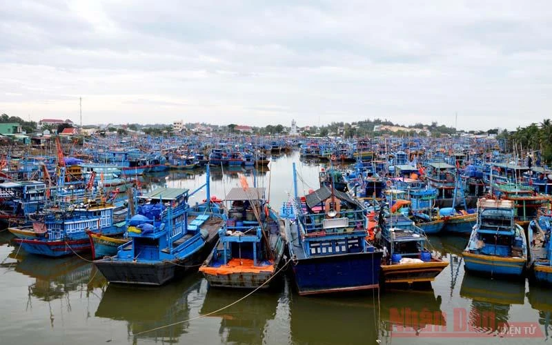 Cảng cá kết hợp Khu neo đậu tàu thuyền tránh trú bão cho tàu cá La Gi là cảng có mật độ tàu thuyền ra vào và neo đậu lớn nhất trong số các cảng cá của tỉnh Bình Thuận.