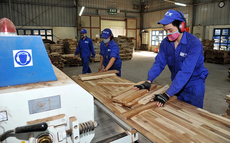 Sản xuất và đóng gói gỗ xuất khẩu ở Công ty cổ phần Lâm sản Nam Ðịnh (tỉnh Nam Ðịnh). Ảnh: VIỆT THẮNG