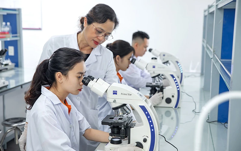 Nghiên cứu sinh trong phòng thí nghiệm tại Trường đại học Bách khoa Hà Nội.