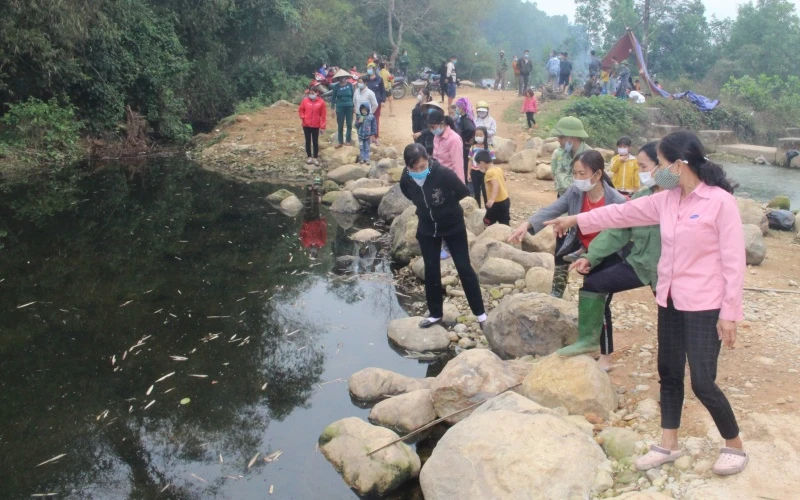 Trang trại của ông Thân Văn Hùng ở xóm Đồng Phú, xã Cát Nê, huyện Đại Từ xả thải ra suối làm cá chết hàng loạt.