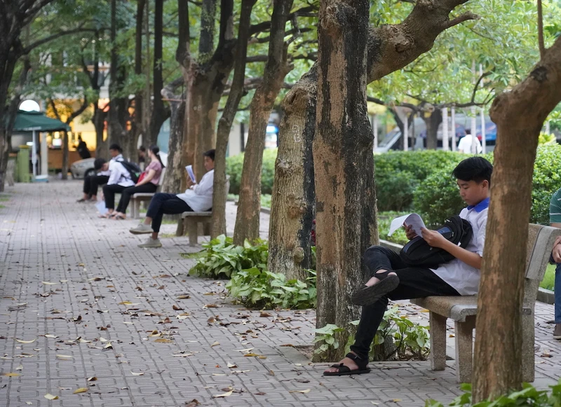 Học sinh, sinh viên đọc sách, ôn bài trong khuôn viên Trường đại học Khoa học Tự nhiên (Hà Nội). Ảnh: HUS