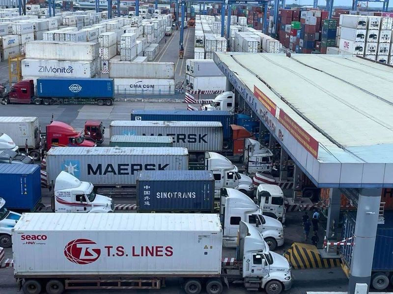 Vận chuyển hàng hóa ra vào cảng Tân Cảng-Cát Lái.