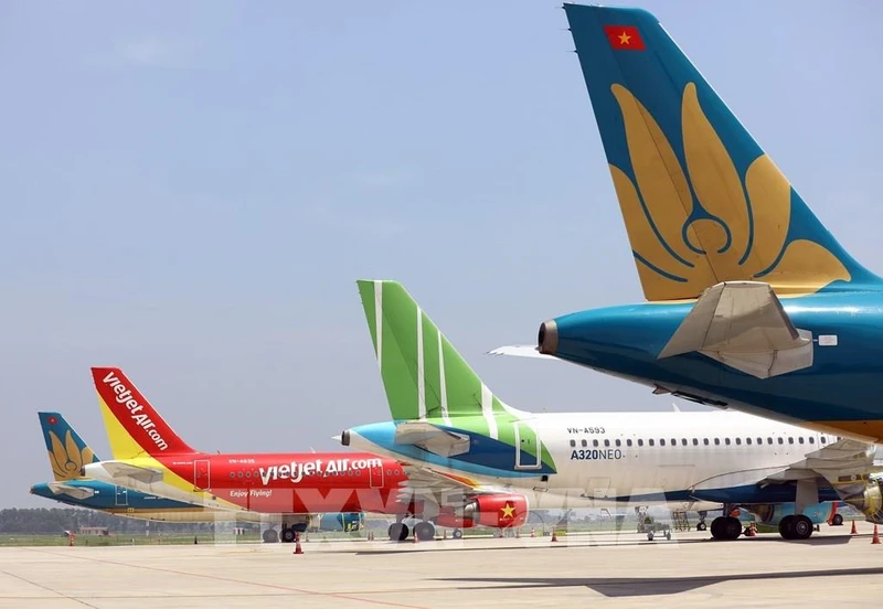  Hàng loạt máy bay của các hãng hàng không đang tạm dừng bay tại sân bay Nội Bài. (Ảnh: TTXVN)