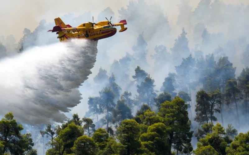 Máy bay cứu hỏa thả nước dập đám cháy rừng gần làng Ellinika trên đảo Evia, ngày 8/8. (Ảnh: Reuters)