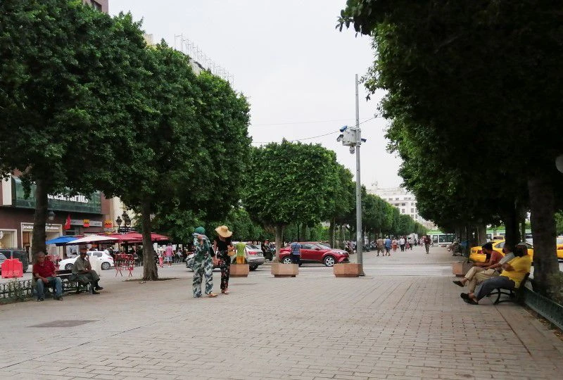 Thủ đô Tunis, Tunisia ngày 11/8 vẫn rất nắng nóng. (Ảnh: Reuters).