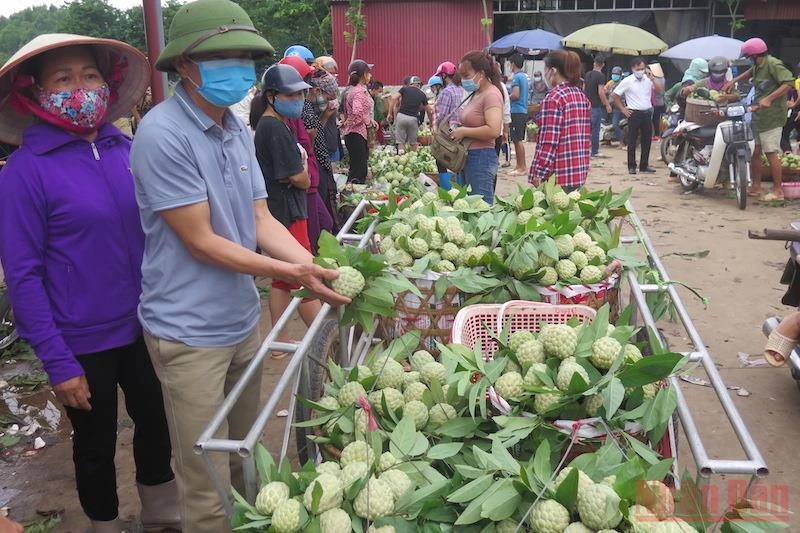 Người dân các xã trong huyện Chi Lăng bán na tại chợ nông sản Chi Lăng