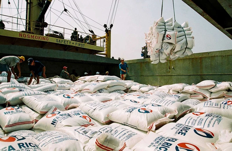 Gạo Việt Nam có nhiều cơ hội xuất khẩu vào thị trường Algeria. 