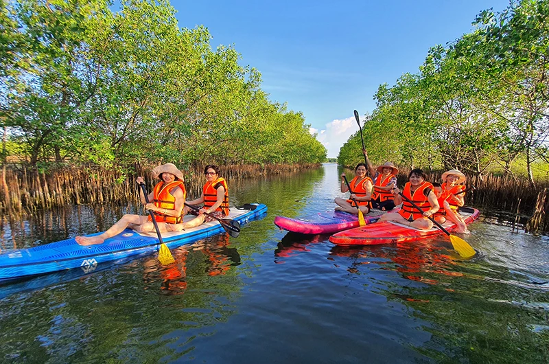 Du khách tham quan rừng ngập mặn tại đầm phá Tam Giang, Thừa Thiên Huế. (Ảnh: NGỌC KIM)